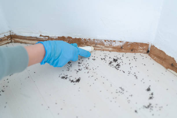 Best Pest Exclusion Services  in Williamstown, NJ